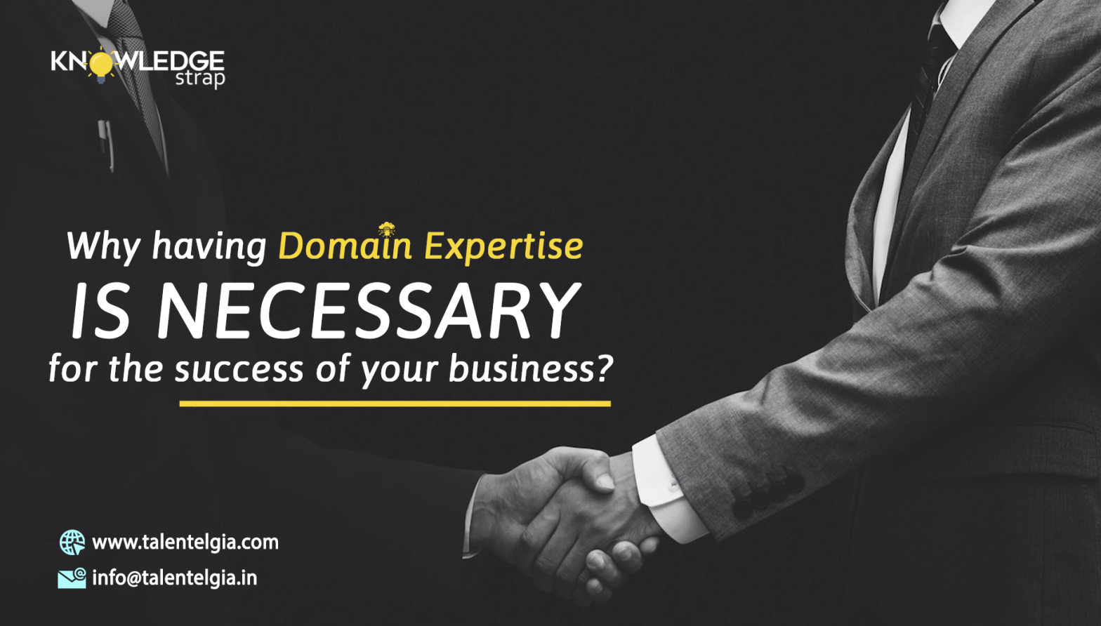 Why domain expertise is the key to success in the business world?