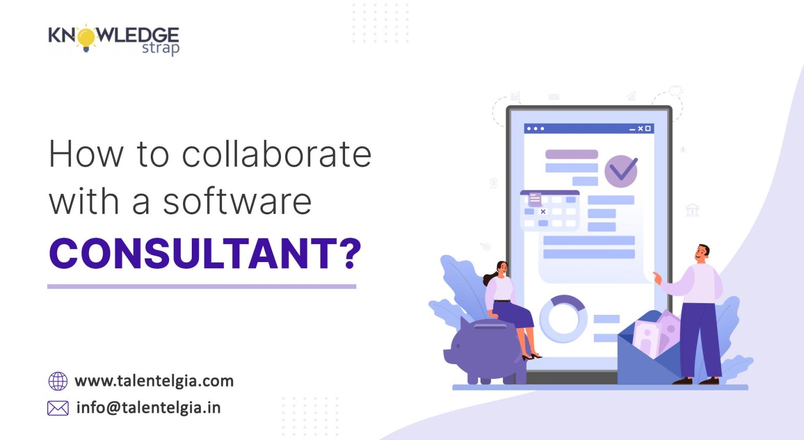 How to collaborate with a software consultant?